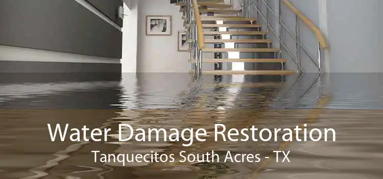 Water Damage Restoration Tanquecitos South Acres - TX