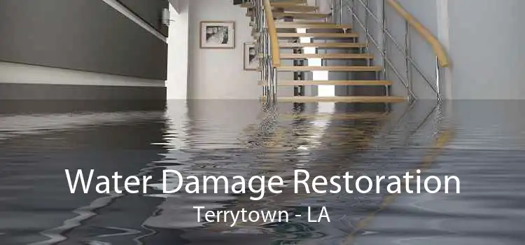 Water Damage Restoration Terrytown - LA