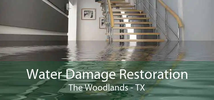 Water Damage Restoration The Woodlands - TX