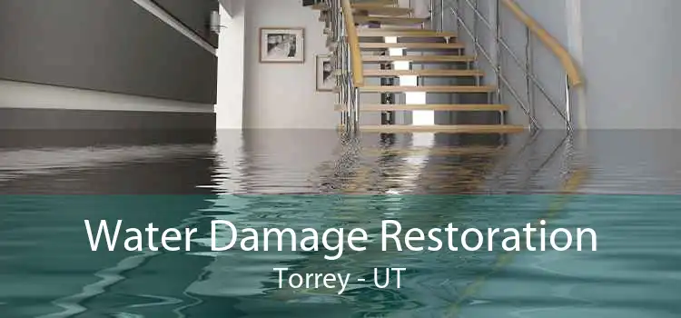 Water Damage Restoration Torrey - UT