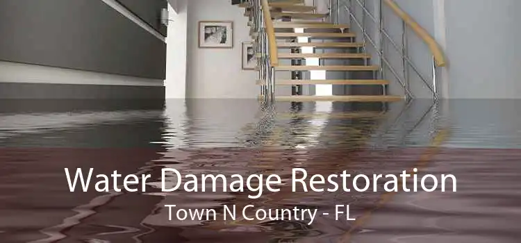 Water Damage Restoration Town N Country - FL