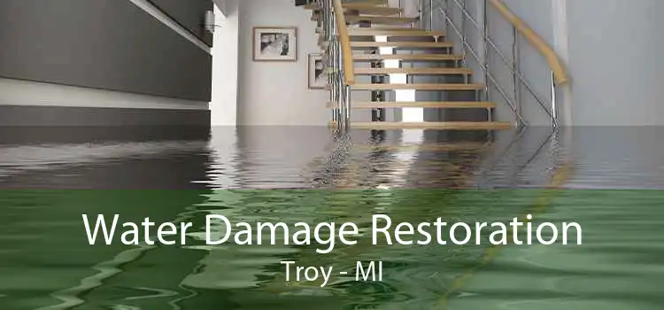Water Damage Restoration Troy - MI