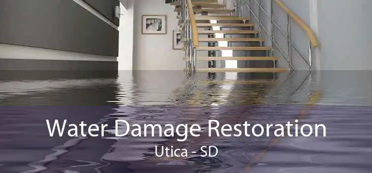 Water Damage Restoration Utica - SD