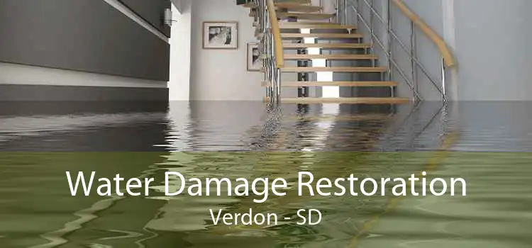 Water Damage Restoration Verdon - SD