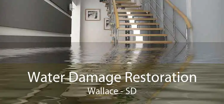 Water Damage Restoration Wallace - SD