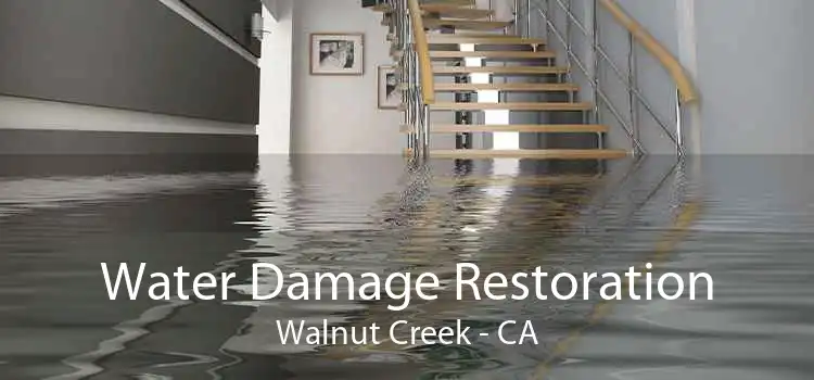 Water Damage Restoration Walnut Creek - CA