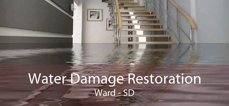 Water Damage Restoration Ward - SD