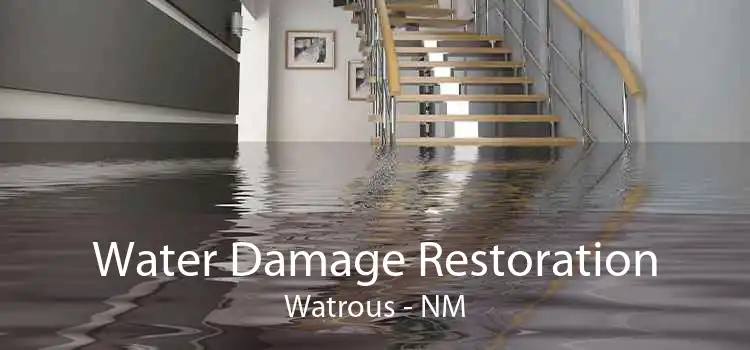 Water Damage Restoration Watrous - NM