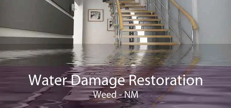 Water Damage Restoration Weed - NM