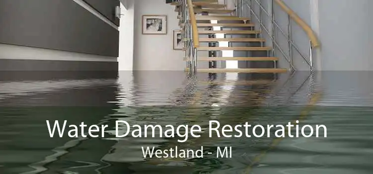 Water Damage Restoration Westland - MI