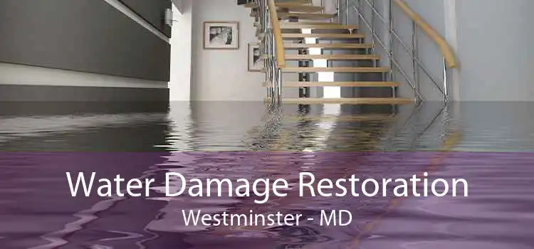 Water Damage Restoration Westminster - MD