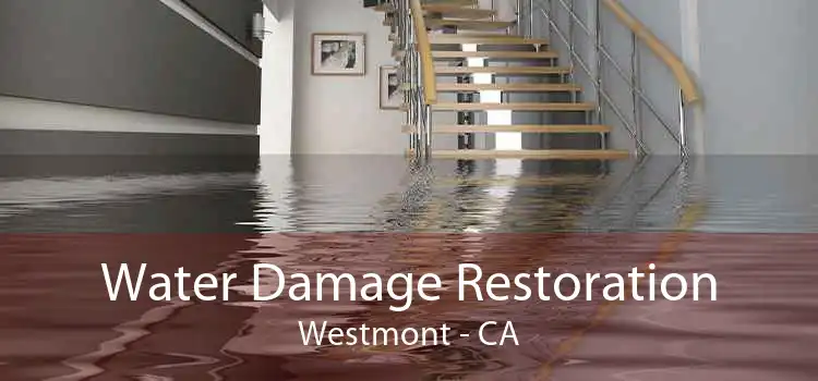 Water Damage Restoration Westmont - CA