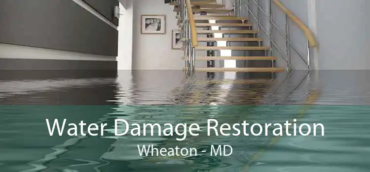 Water Damage Restoration Wheaton - MD