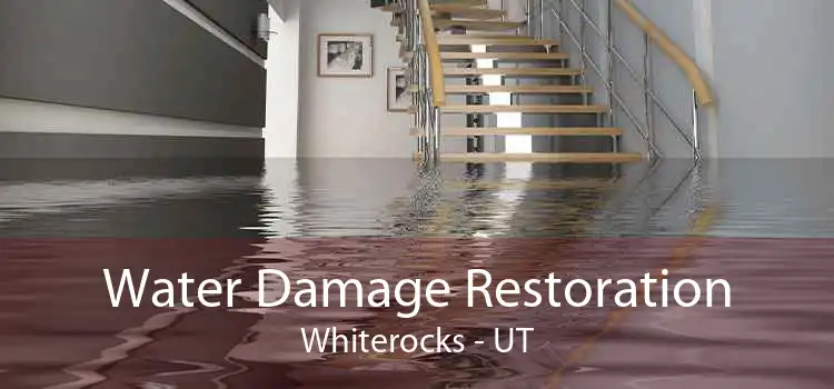 Water Damage Restoration Whiterocks - UT