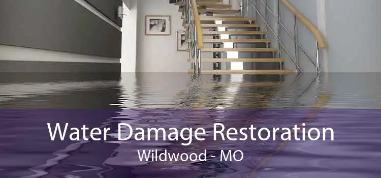 Water Damage Restoration Wildwood - MO