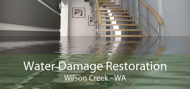 Water Damage Restoration Wilson Creek - WA