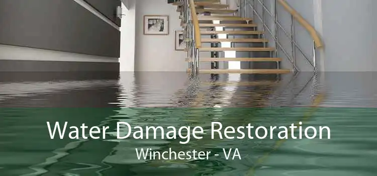 Water Damage Restoration Winchester - VA
