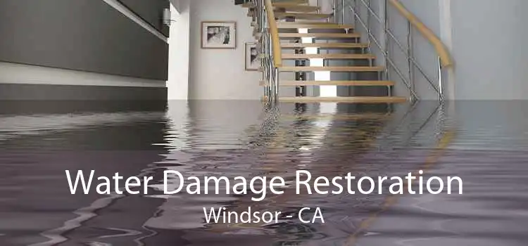 Water Damage Restoration Windsor - CA