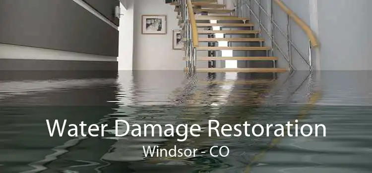 Water Damage Restoration Windsor - CO