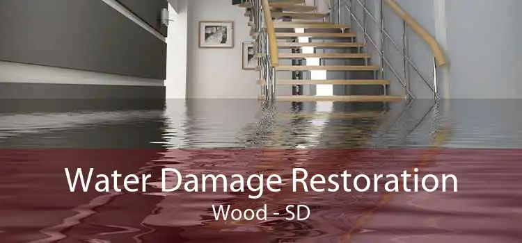 Water Damage Restoration Wood - SD
