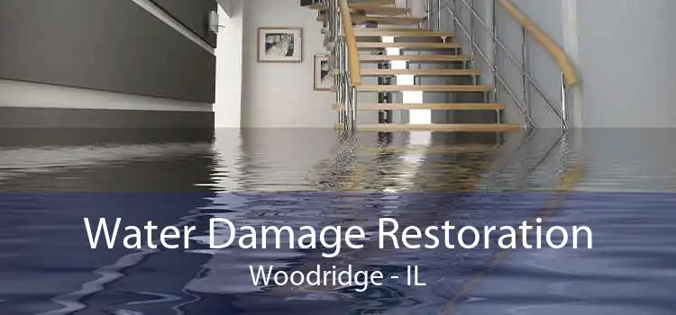 Water Damage Restoration Woodridge - IL