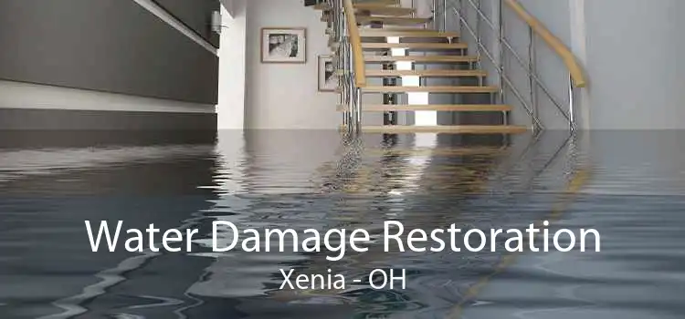 Water Damage Restoration Xenia - OH