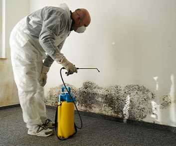 Mold Remediation in Burlingame, CA