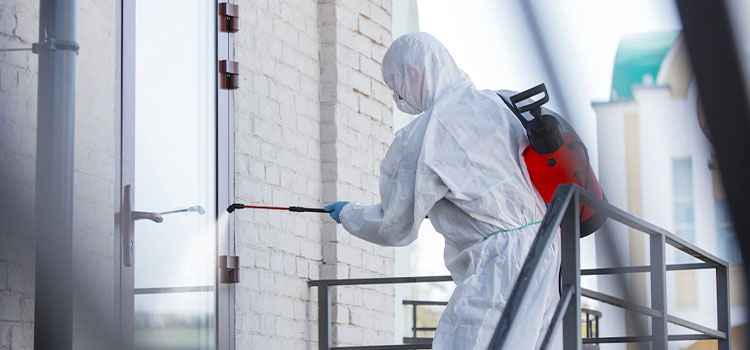 Mold Remediation Company in Nacogdoches, TX